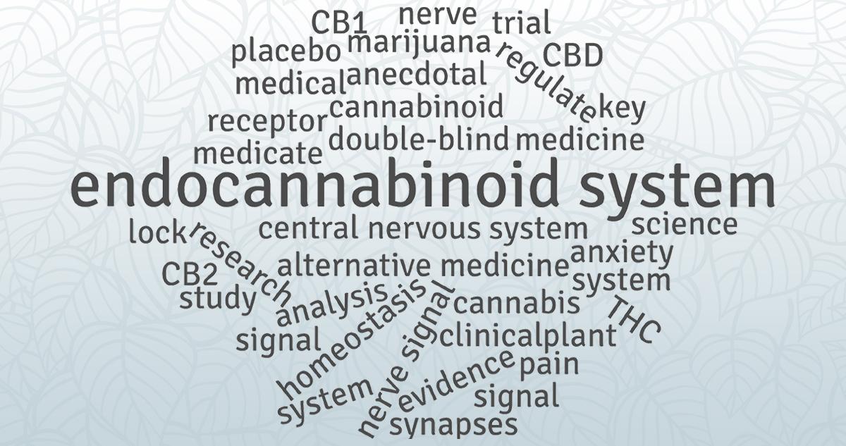 endocannabinoid deficiency